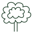 Arbres & arbustes