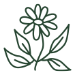 Plantes annuelles