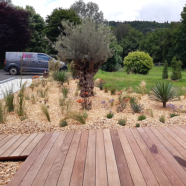 Un jardin paysager avec une variété de plantes, d'arbustes et de petits arbres. Au premier plan, une terrasse en bois mène à une zone de graviers et de plantes succulentes. Un van est garé sur le côté gauche de l'image, avec une route visible à côté. En arrière-plan, une vue sur une zone verte et boisée.