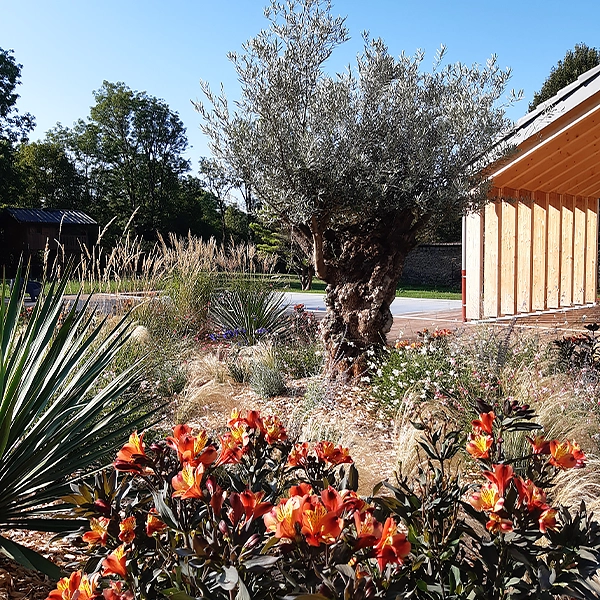 Un jardin ensoleillé avec un grand arbre au tronc noueux et des branches étendues. Au premier plan, des fleurs orange vif en pleine floraison. À droite, un bâtiment avec des murs en bois et un toit plat. En arrière-plan, des plantes variées et un chemin sinueux.