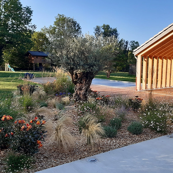 Un jardin paysager avec un arbre central au tronc noueux entouré de diverses plantes et fleurs. À droite, un bâtiment moderne avec des murs en bois et un toit plat. En arrière-plan, une pelouse verte et des arbres, avec un chemin en béton visible au premier plan.